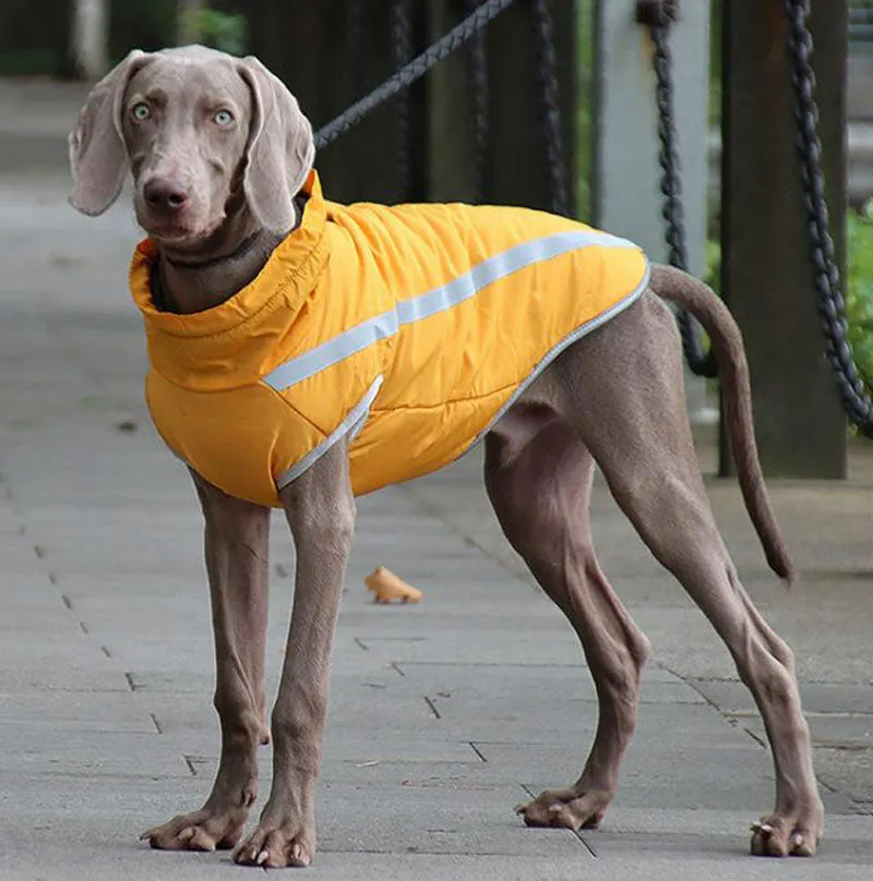 Autumn and winter new dog clothes reflective warm dog outdoor jacket