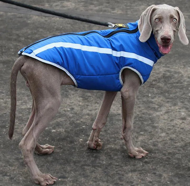 Autumn and winter new dog clothes reflective warm dog outdoor jacket