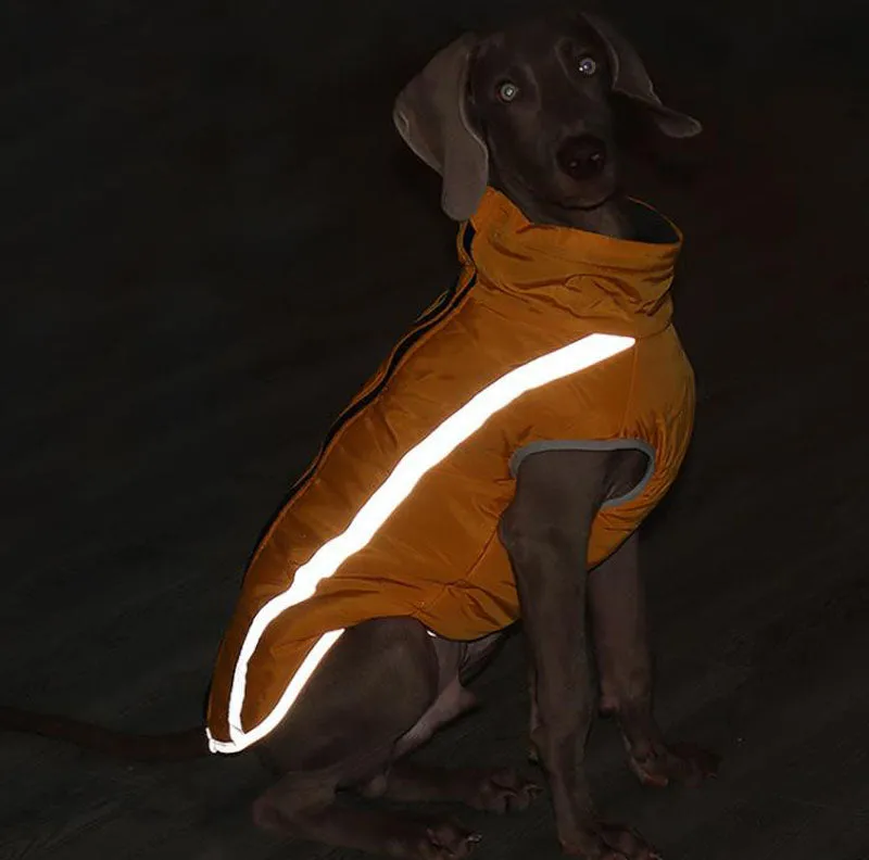 Autumn and winter new dog clothes reflective warm dog outdoor jacket