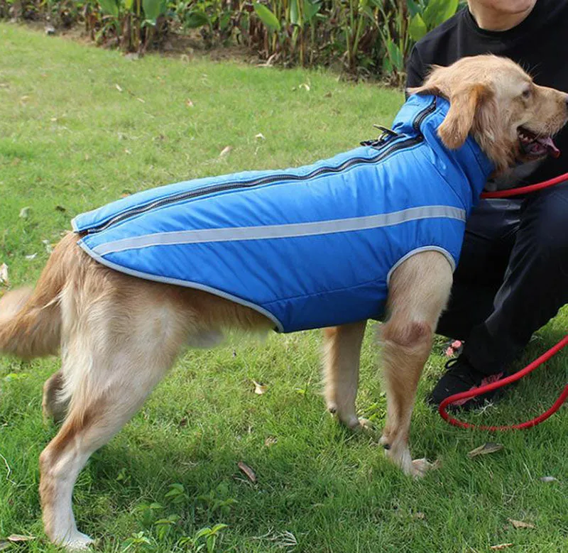 Autumn and winter new dog clothes reflective warm dog outdoor jacket