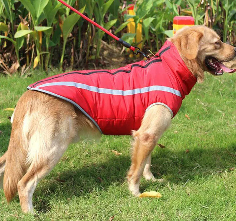 Autumn and winter new dog clothes reflective warm dog outdoor jacket