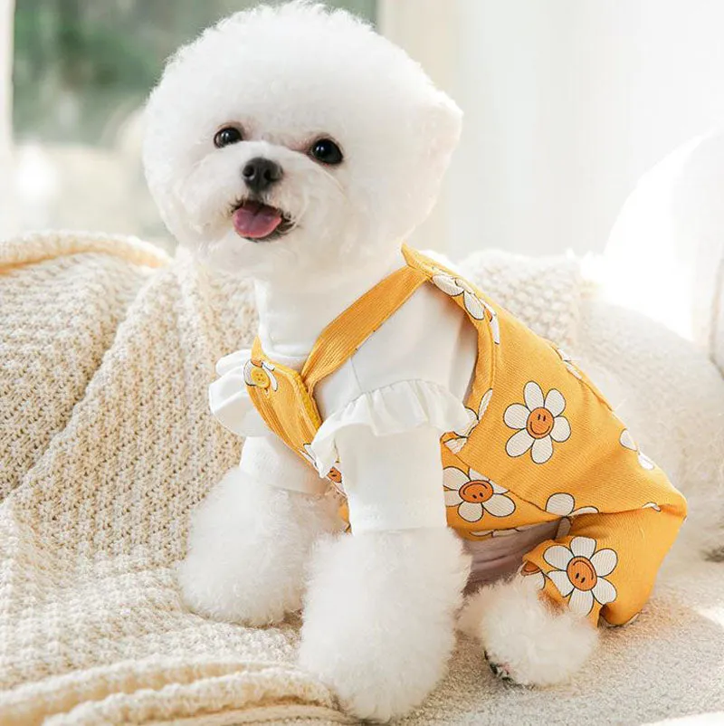 Autumn and winter new puppy clothes sunflower suspenders four-legged overalls