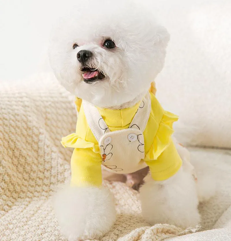 Autumn and winter new puppy clothes sunflower suspenders four-legged overalls