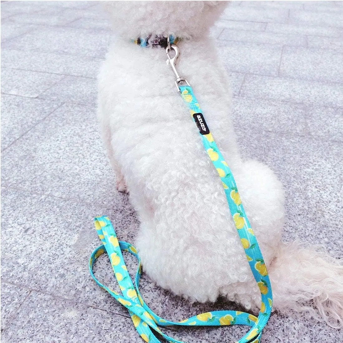 azuza Dog Collar and Leash Set, Lemon Patterns on Blue Nylon Collar and Matching Leash, Great Option for Medium Dogs