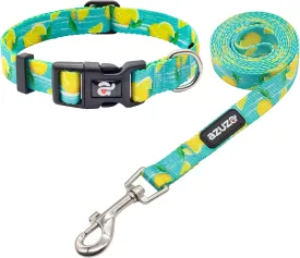 azuza Dog Collar and Leash Set, Lemon Patterns on Blue Nylon Collar and Matching Leash, Great Option for Medium Dogs