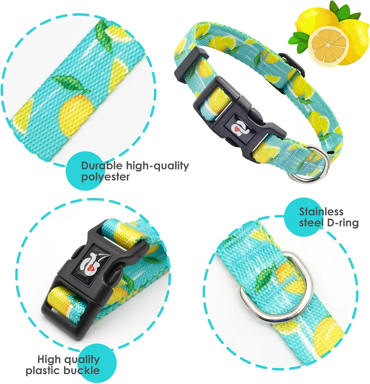 azuza Dog Collar and Leash Set, Lemon Patterns on Blue Nylon Collar and Matching Leash, Great Option for Medium Dogs