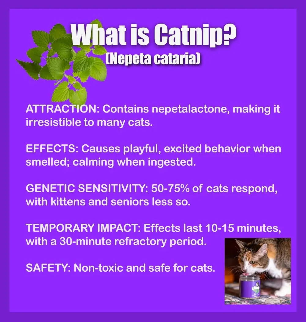 Catnip Blend - Non-Addictive Catnip Treats for Enhanced Playfulness. North American Crafted, 100% Natural. Ideal for Complementing Catnip Toys, Catnip Spray, and Cat Accessories (1 Cup)