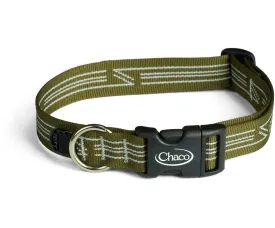 Chaco - Dog Collar