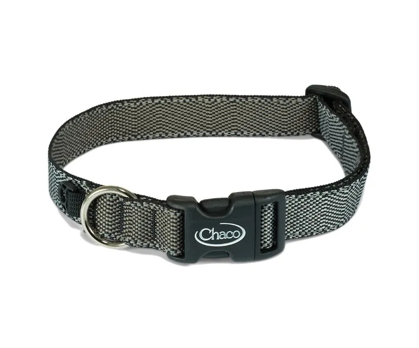 Chaco - Dog Collar