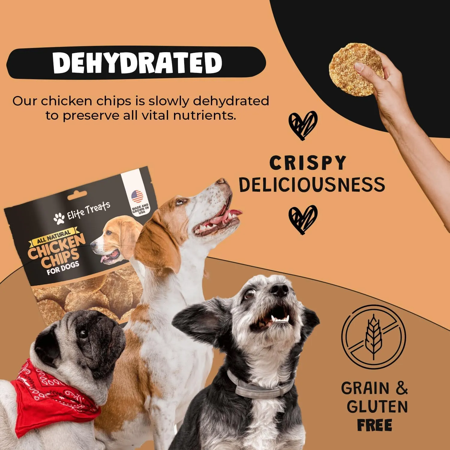Chicken Chips 12 oz, Dehydrated Chicken Dog Treats, All Natural, Single Ingredient, USA Made, for Small to Large Dogs