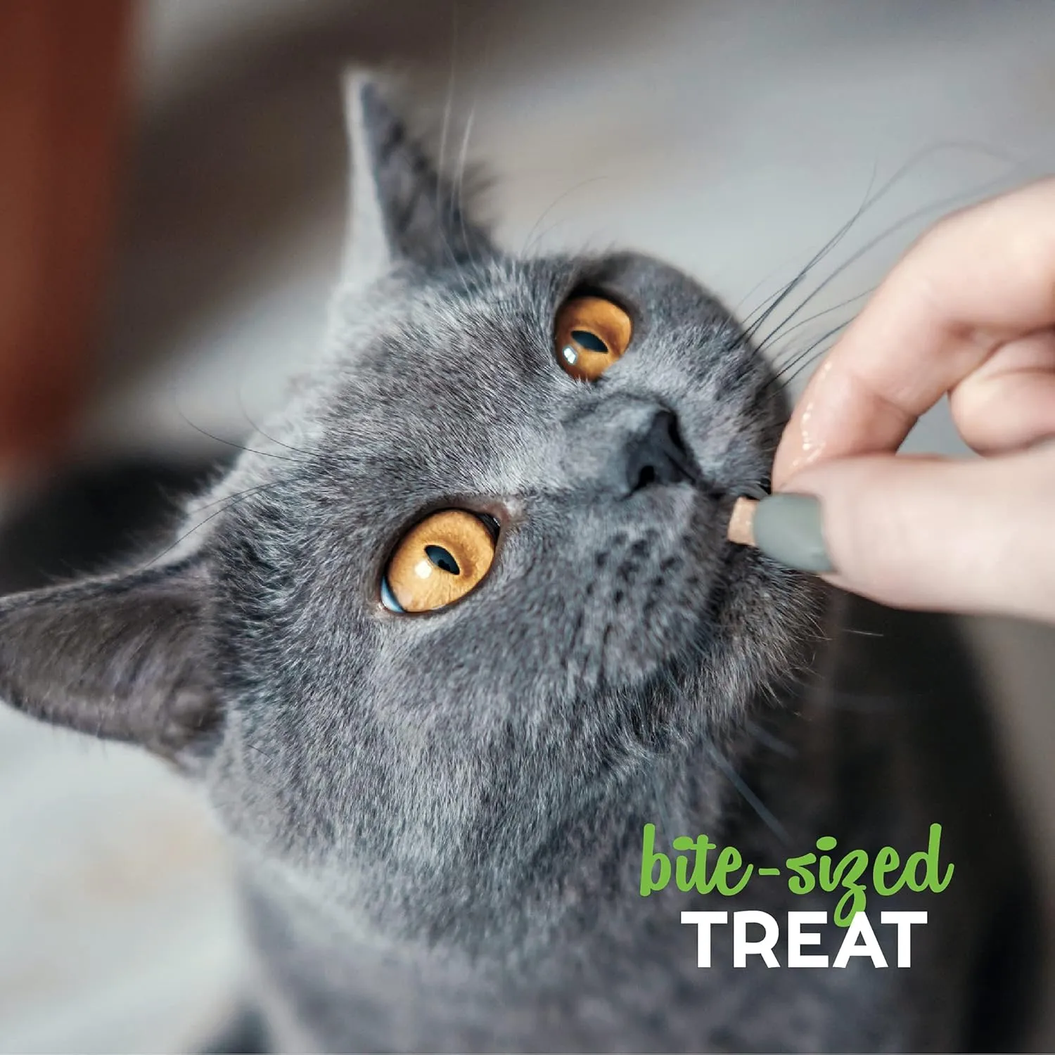 Cloud Star Buddy Biscuits 3 oz Pouch of Grain Free Soft & Chewy Cat Treats Made with Natural Tender Chicken (Pack of 2)