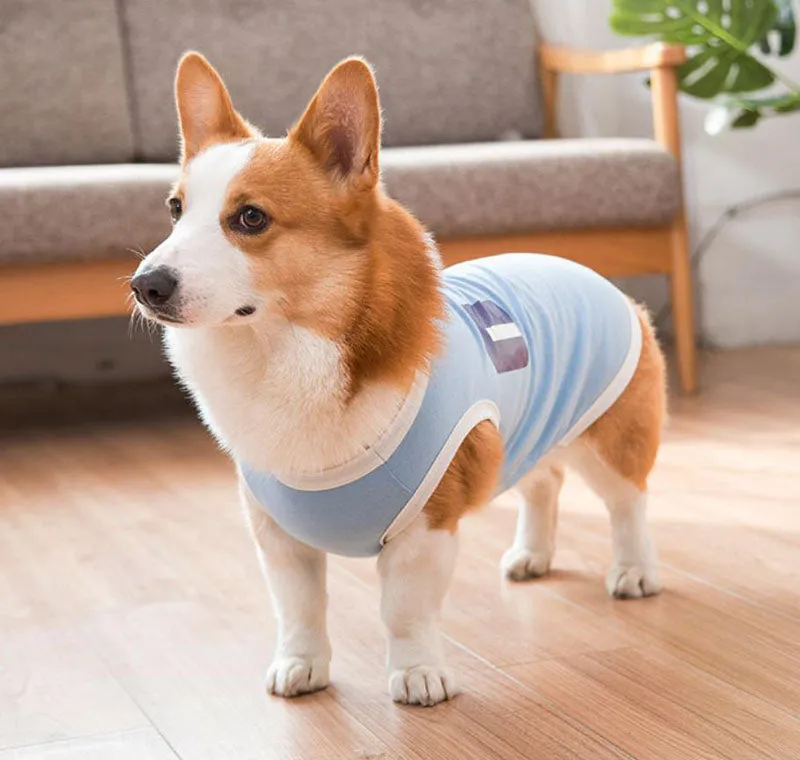 Corgi Pug Bull dog summer thin spring vest