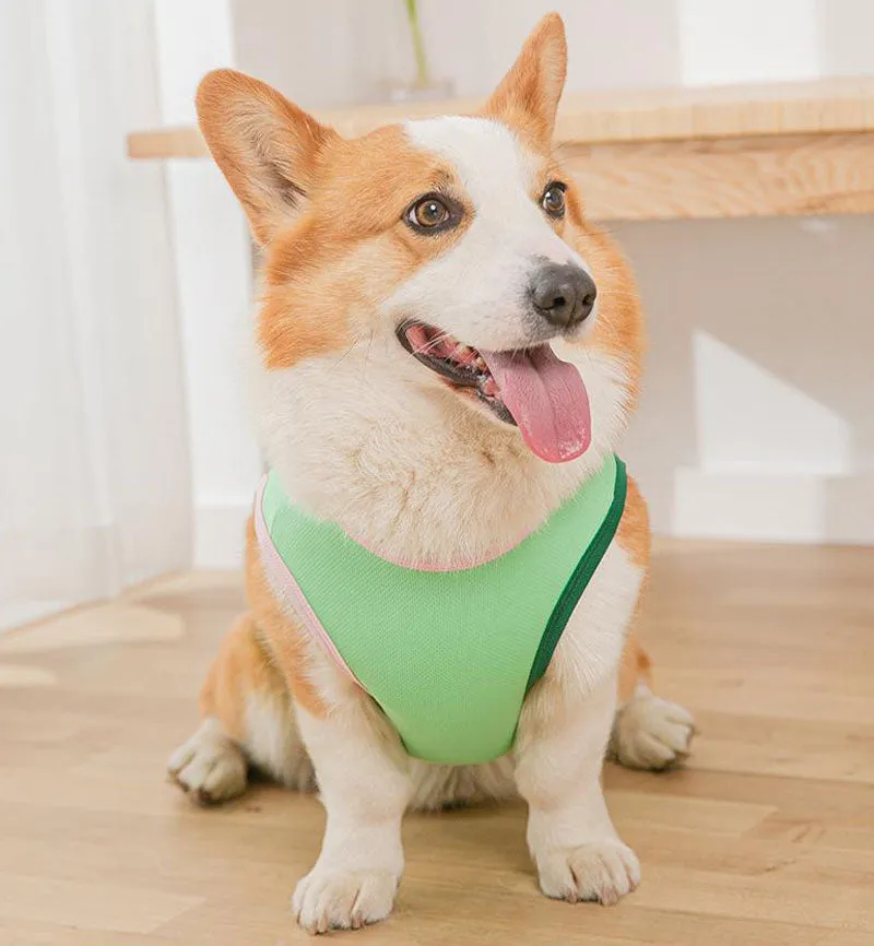 Corgi Pug Bull dog summer thin spring vest