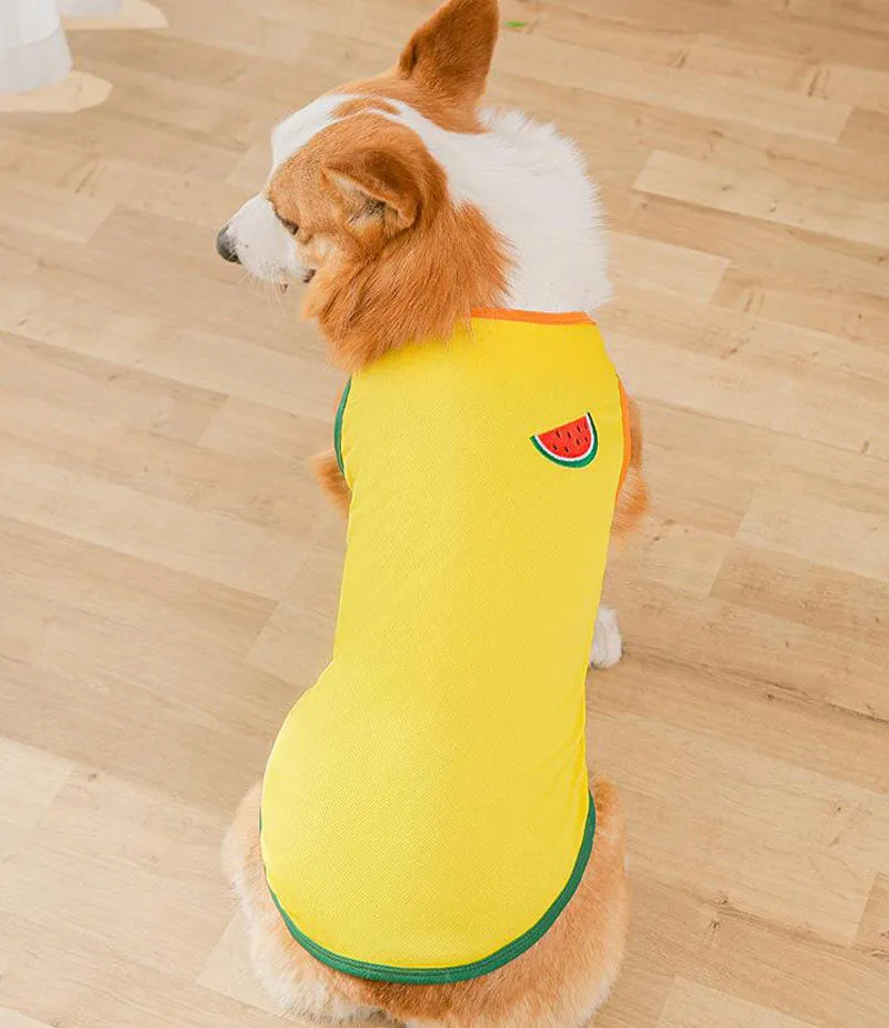 Corgi Pug Bull dog summer thin spring vest