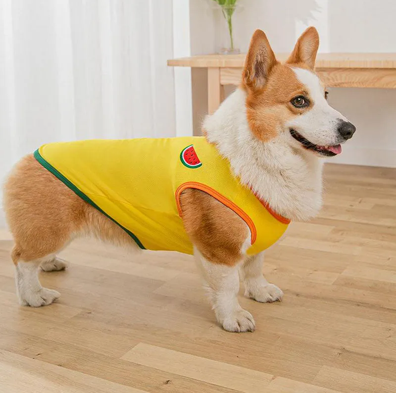 Corgi Pug Bull dog summer thin spring vest