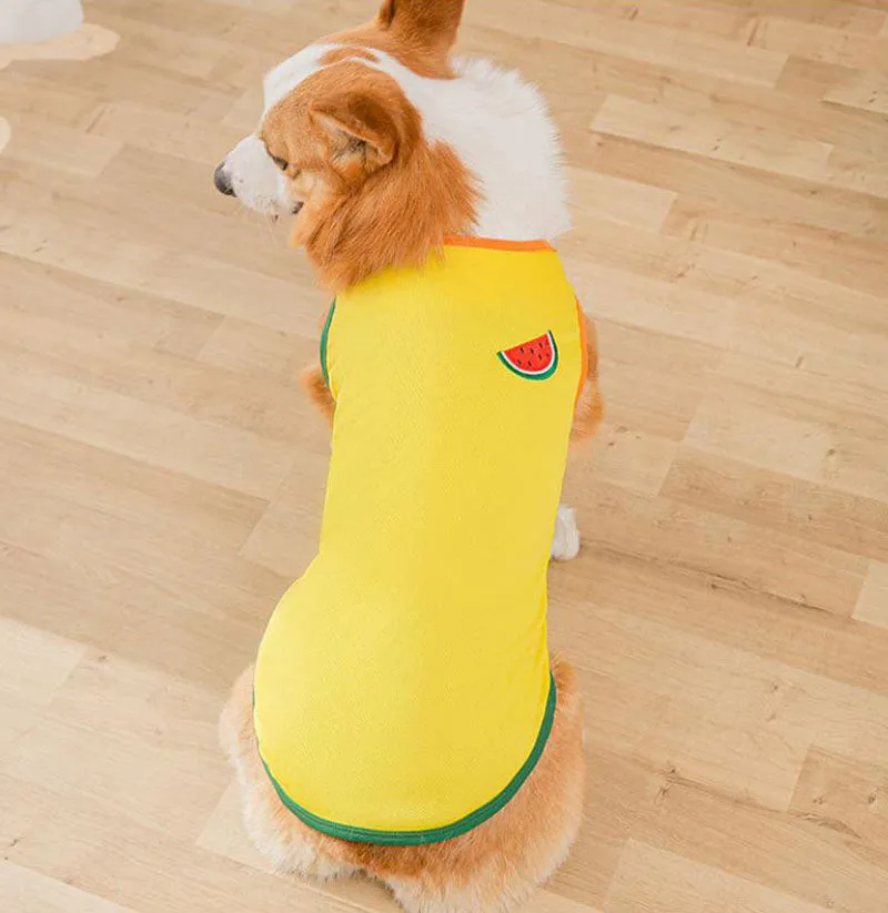 Corgi Pug Bull dog summer thin spring vest