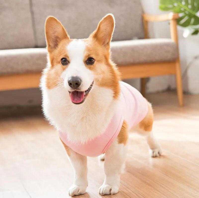 Corgi Pug Bull dog summer thin spring vest