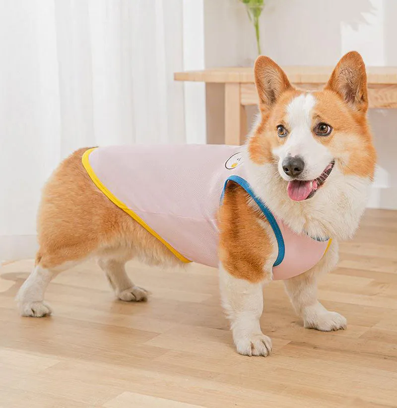 Corgi Pug Bull dog summer thin spring vest
