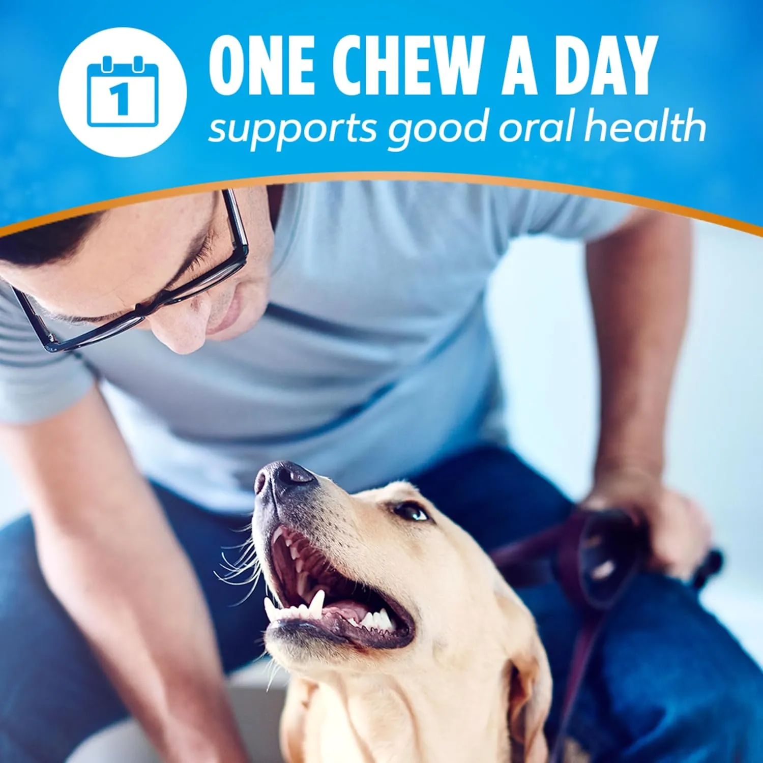 DentaLife Plus Immune Support Dog Treats for Large Dogs 40 lbs. and up, Cleans Teeth, Freshens Breath, & Supports Immune Health, Chicken, Apple, & Blueberry Flavor, 22.6 oz., 19 Chews - 19 ct. Pouch