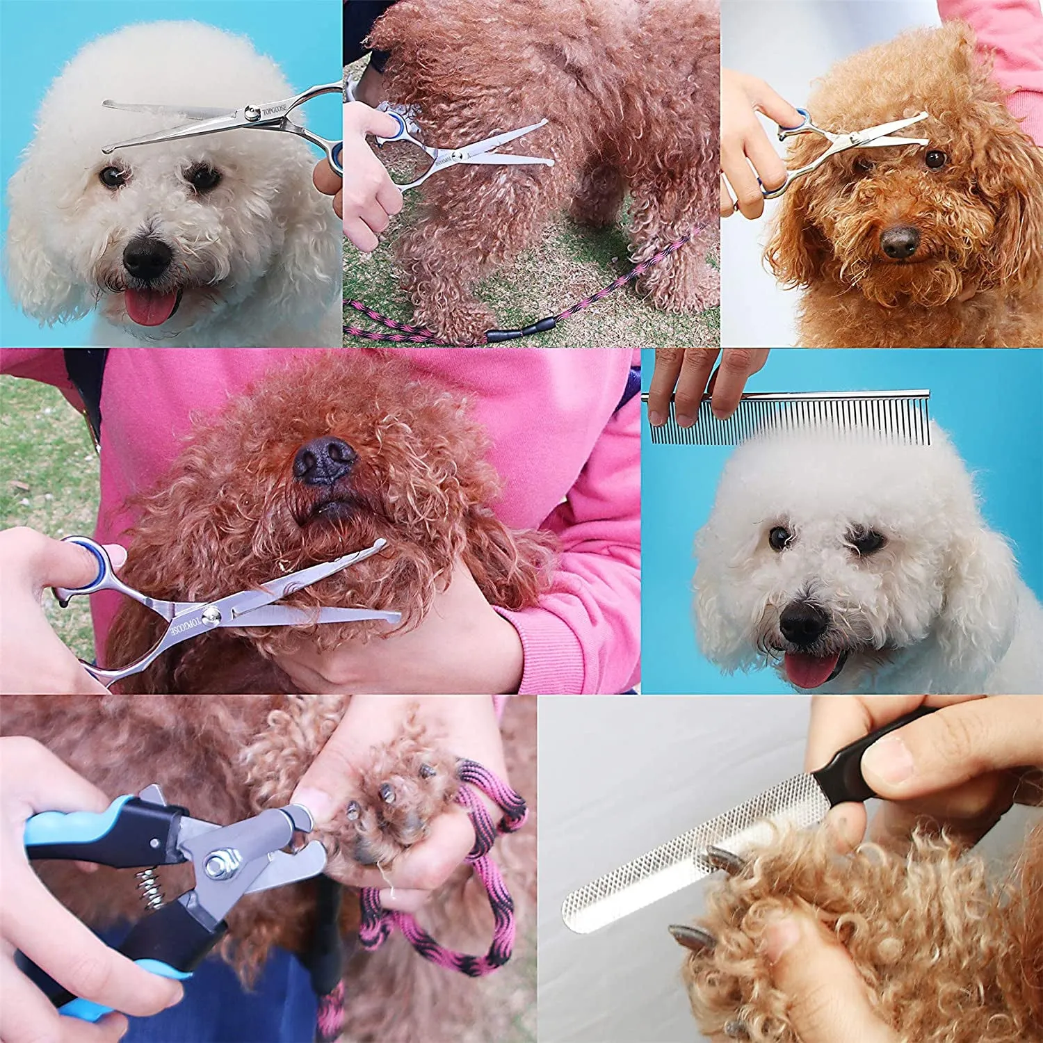 Dog Grooming Scissors Set, Safety round Tip, Grooming Tools 6 Pieces Kit for Dogs