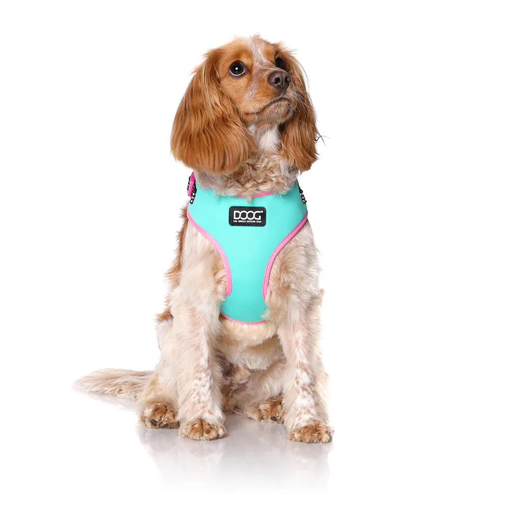 DOOG Neoflex Neoprene Rin Tin Tin Neon Teal and Pink Dog Harness Extra Small