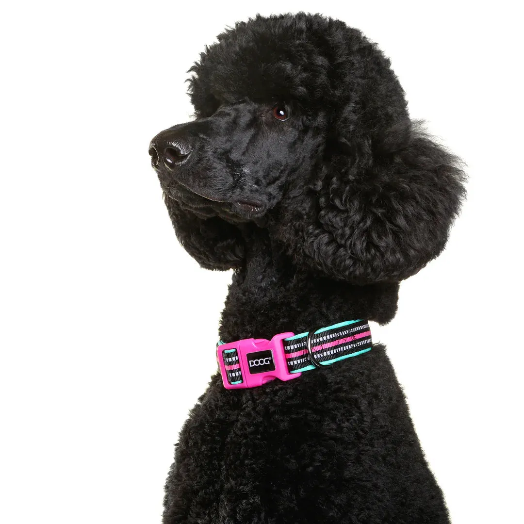 DOOG Neoprene Rin Tin Tin Neon Teal and Pink Dog Collar Large^^^