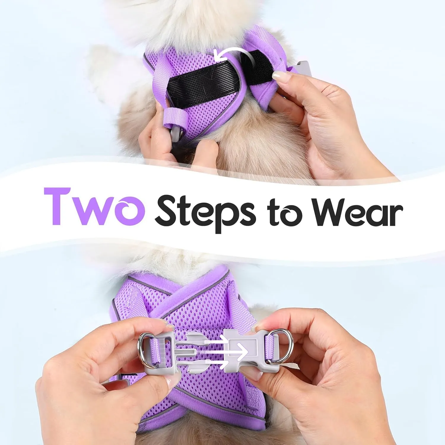 Dooradar Cat Harness and Leash Set, Escape Proof Lightweight Kitten Harness, Soft Breathable Reflective Vest for Outdoor Walking Traveling, Adjustable for Medium Cats, Grey & Purple, M