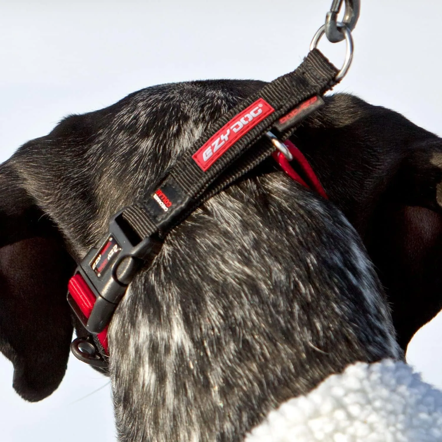 EzyDog Checkmate Martingale Collar for Dogs  Premium Nylon Training Dog Collar for Easy Control with no Choking (X-Large, Black)