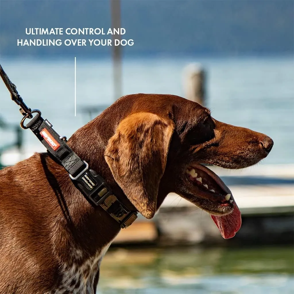 EzyDog Checkmate Martingale Collar for Dogs  Premium Nylon Training Dog Collar for Easy Control with no Choking (X-Large, Black)