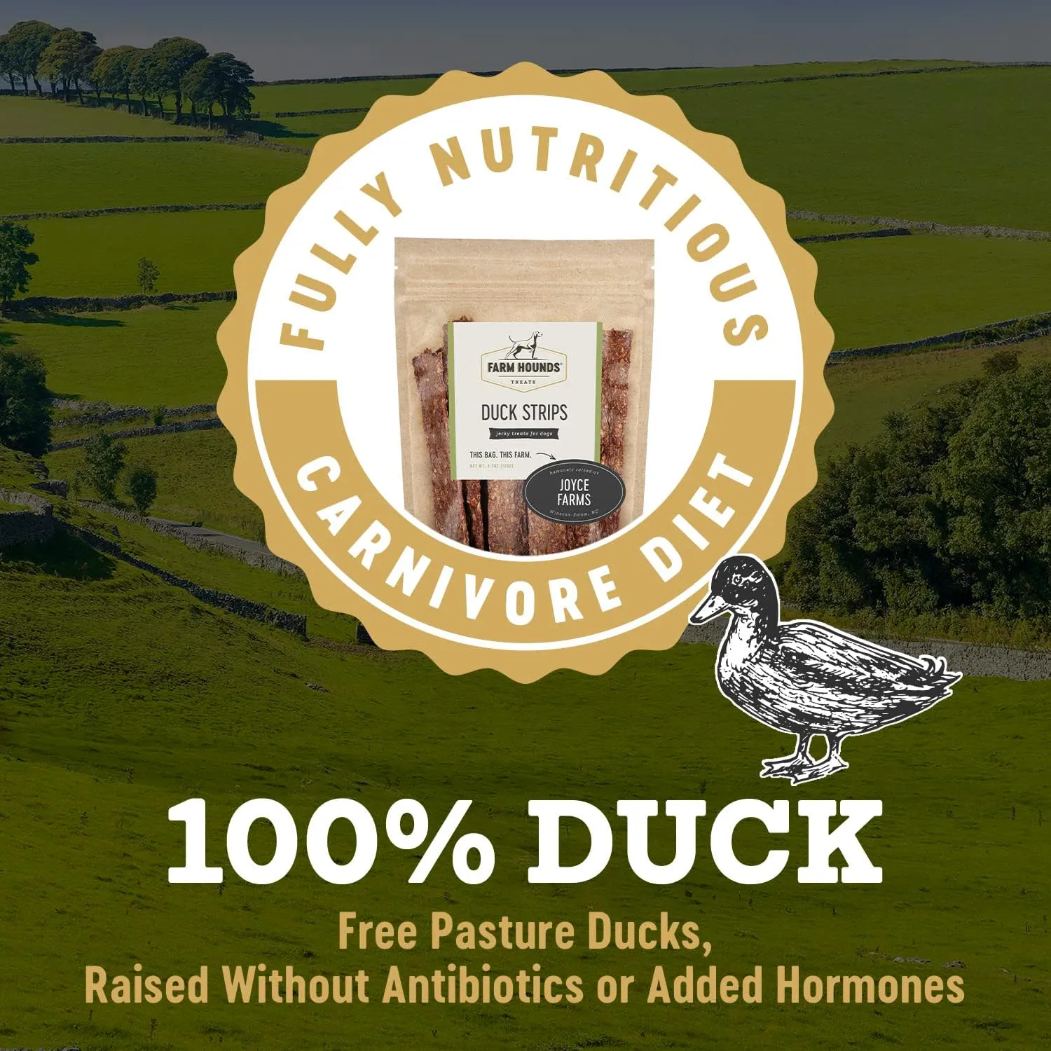 Farm Hounds - Duck Strips - Premium Natural Jerky for Dogs - Made from 100% Humanely Raised Duck - Break-to-Size - Great for Training & Treats - No Added Fillers - Made in USA - 4.5 oz - 1 Pack