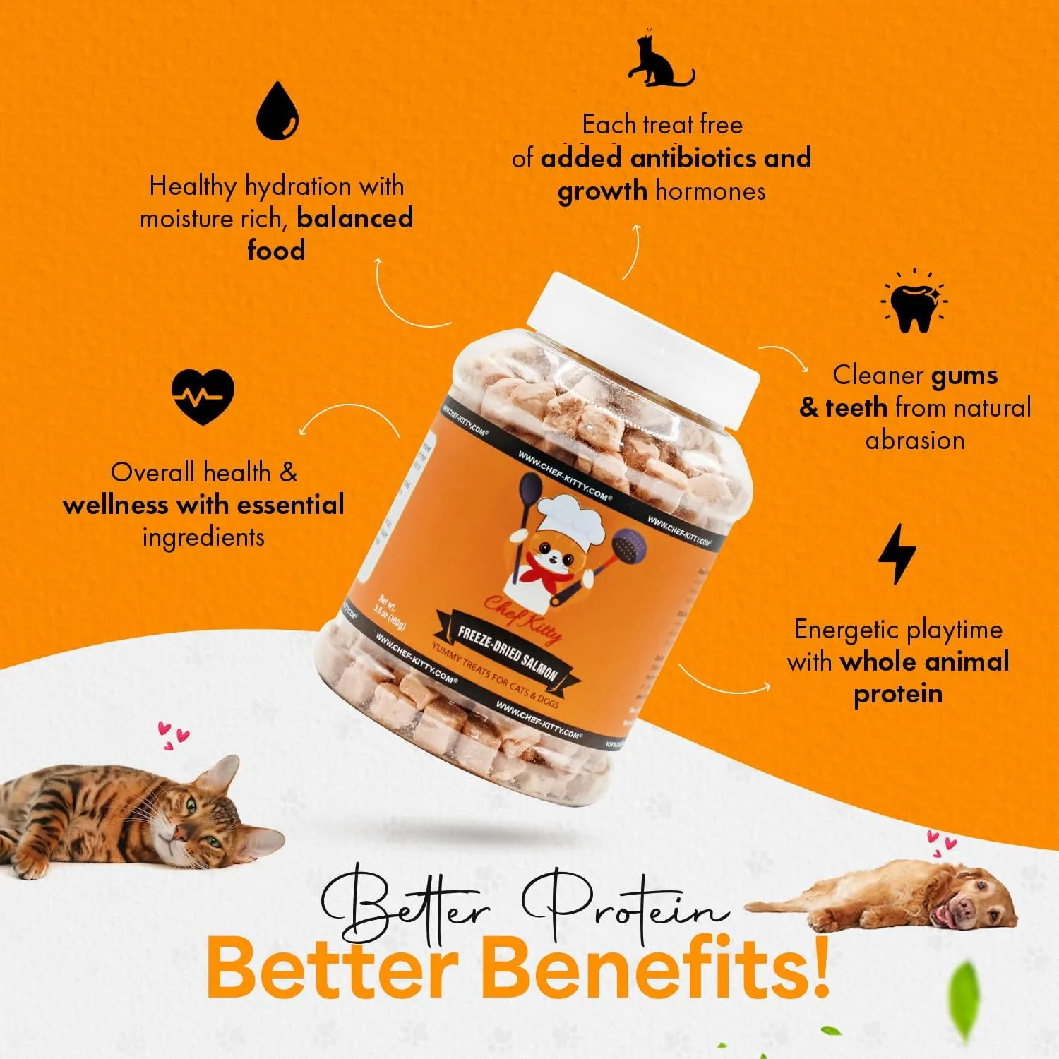 Freeze-Dried Salmon Treats for Cats & Dogs  100% Wild Caught, Single Ingredient, High-Protein, Healthy Snack  No Additives or Preservatives  2.6oz - Inspected & Tested in USA