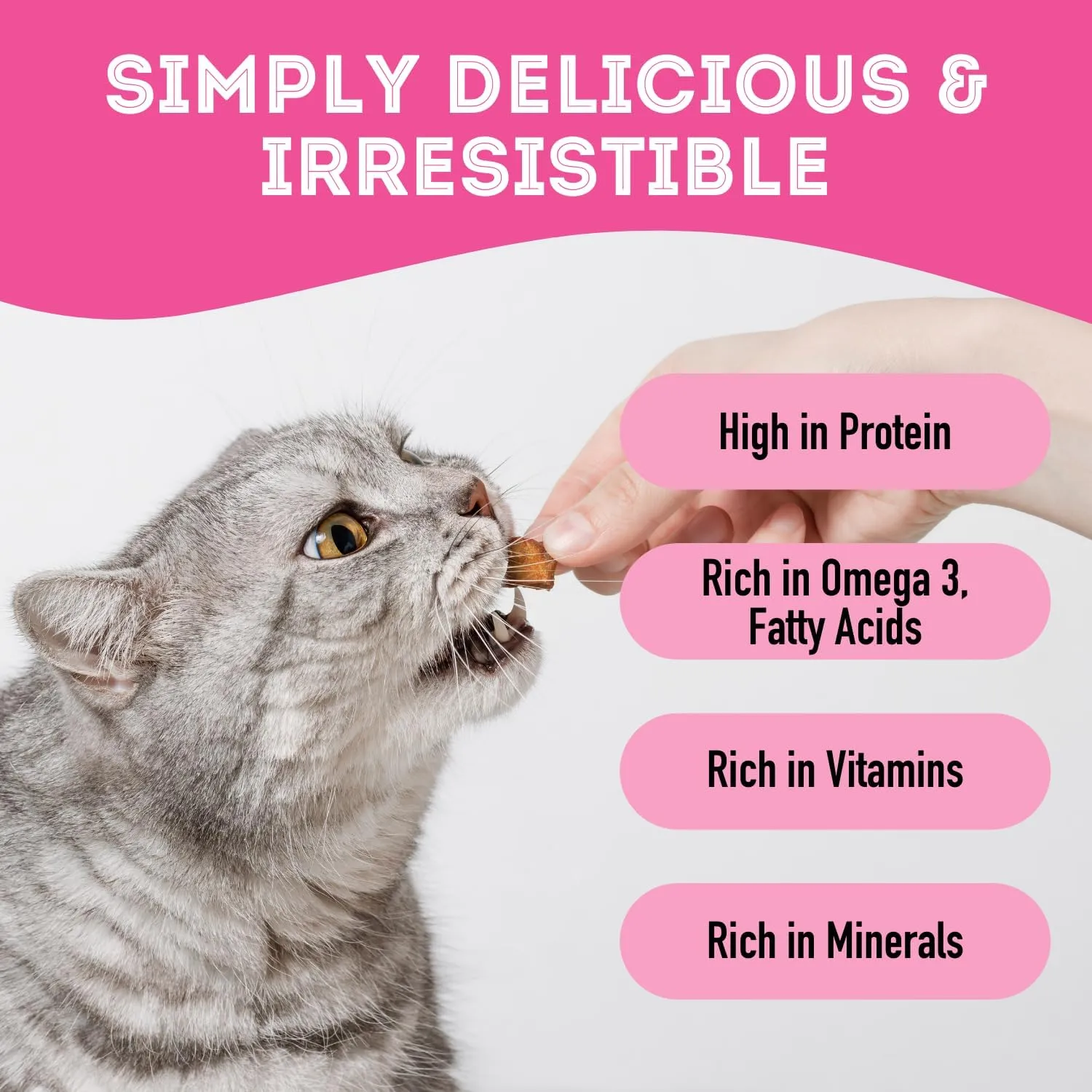 Freeze Dried Salmon Treats for Dogs & Cats (1.76 oz, Pack of 1) - Single Ingredient Dog Treats, Cat Treats - Natural Dog Treats, Grain Free