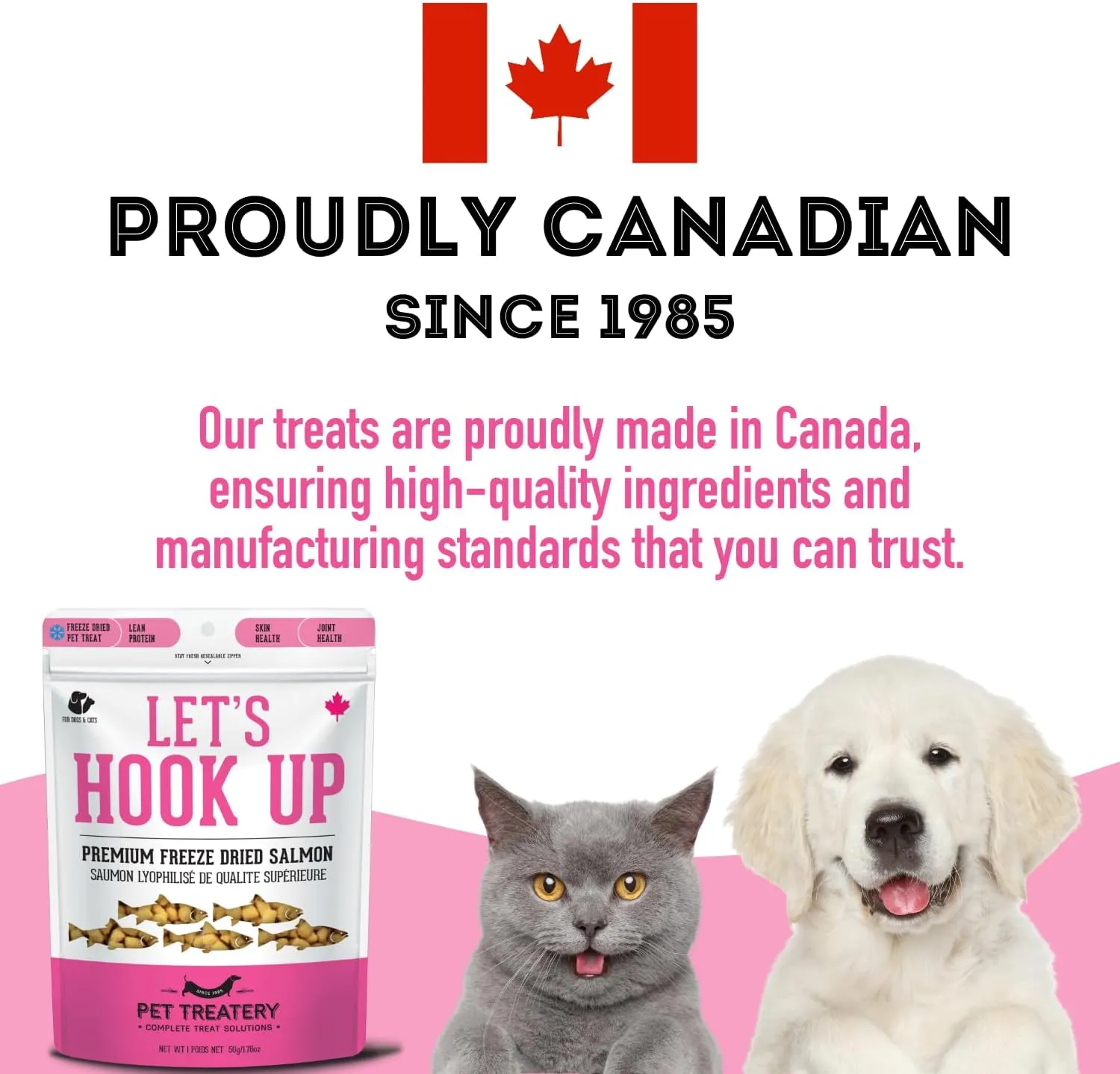 Freeze Dried Salmon Treats for Dogs & Cats (1.76 oz, Pack of 1) - Single Ingredient Dog Treats, Cat Treats - Natural Dog Treats, Grain Free