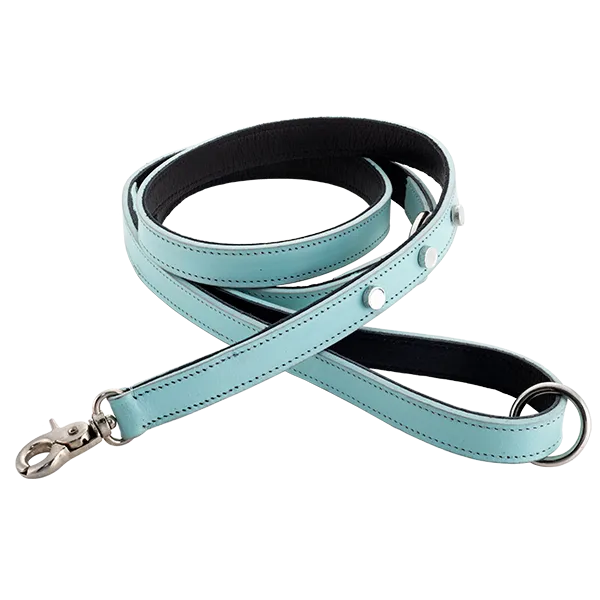 Genuine Leather Leashes