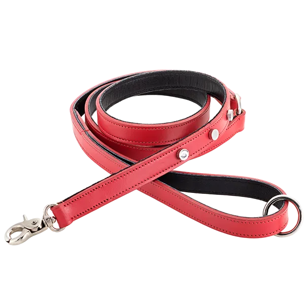 Genuine Leather Leashes