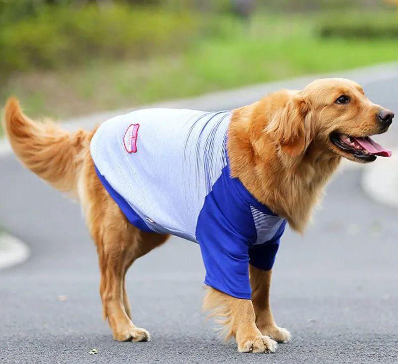 Golden Retriever Vest Samoyed Husky Border Shepherd Medium Large Dog Thin Summer Clothing