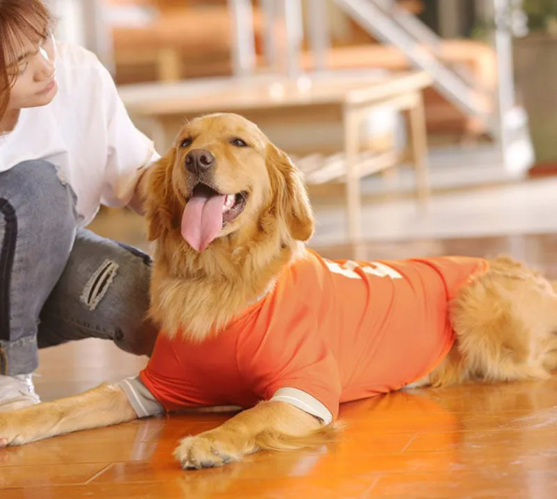 Golden Retriever Vest Samoyed Husky Border Shepherd Medium Large Dog Thin Summer Clothing