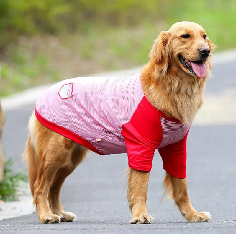 Golden Retriever Vest Samoyed Husky Border Shepherd Medium Large Dog Thin Summer Clothing