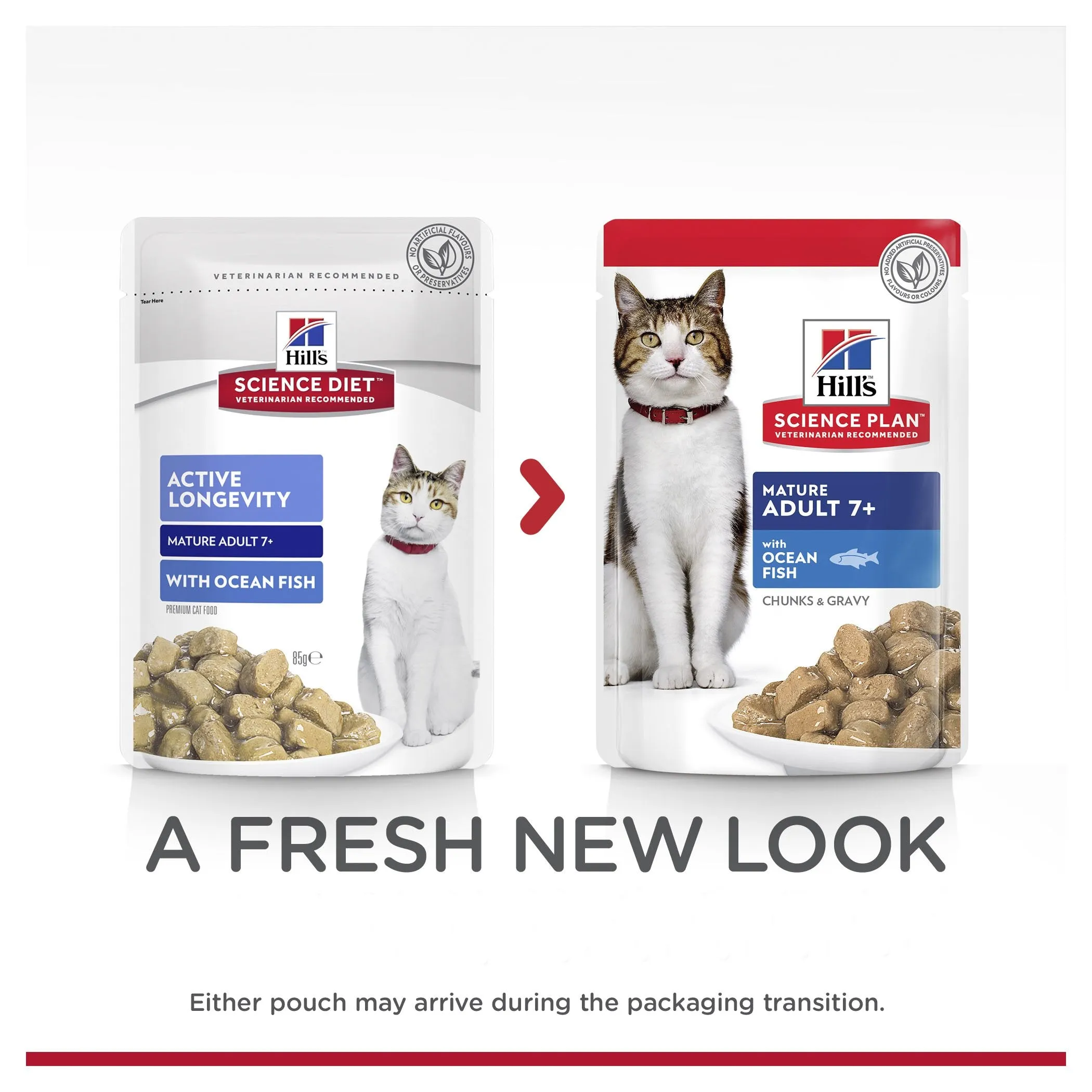 Hills Science Diet Adult 7  Active Longevity Mature Ocean Fish Cat Food Pouches 85g x 12^^^