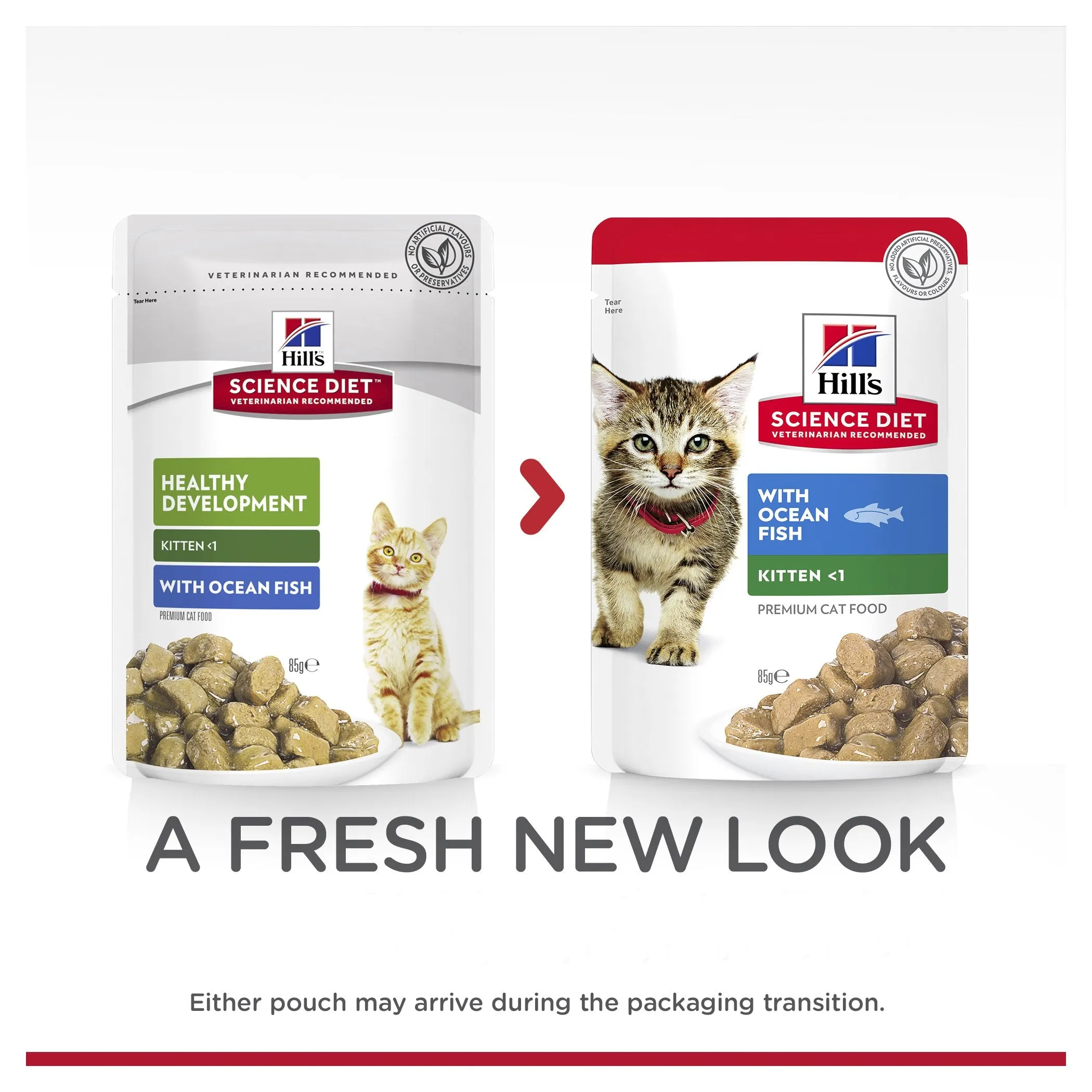 Hills Science Diet Kitten Healthy Development Ocean Fish Cat Food Pouches 85g