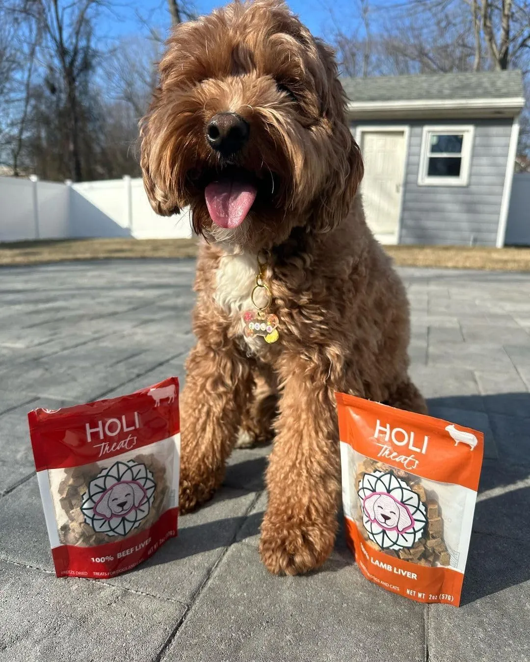 HOLI Freeze Dried Liver Treats for Dogs- All Natural Pasture Raised Healthy Beef Liver, 100% Made in USA - Single Ingredient - Human Grade - Grain Free - Diabetic Friendly