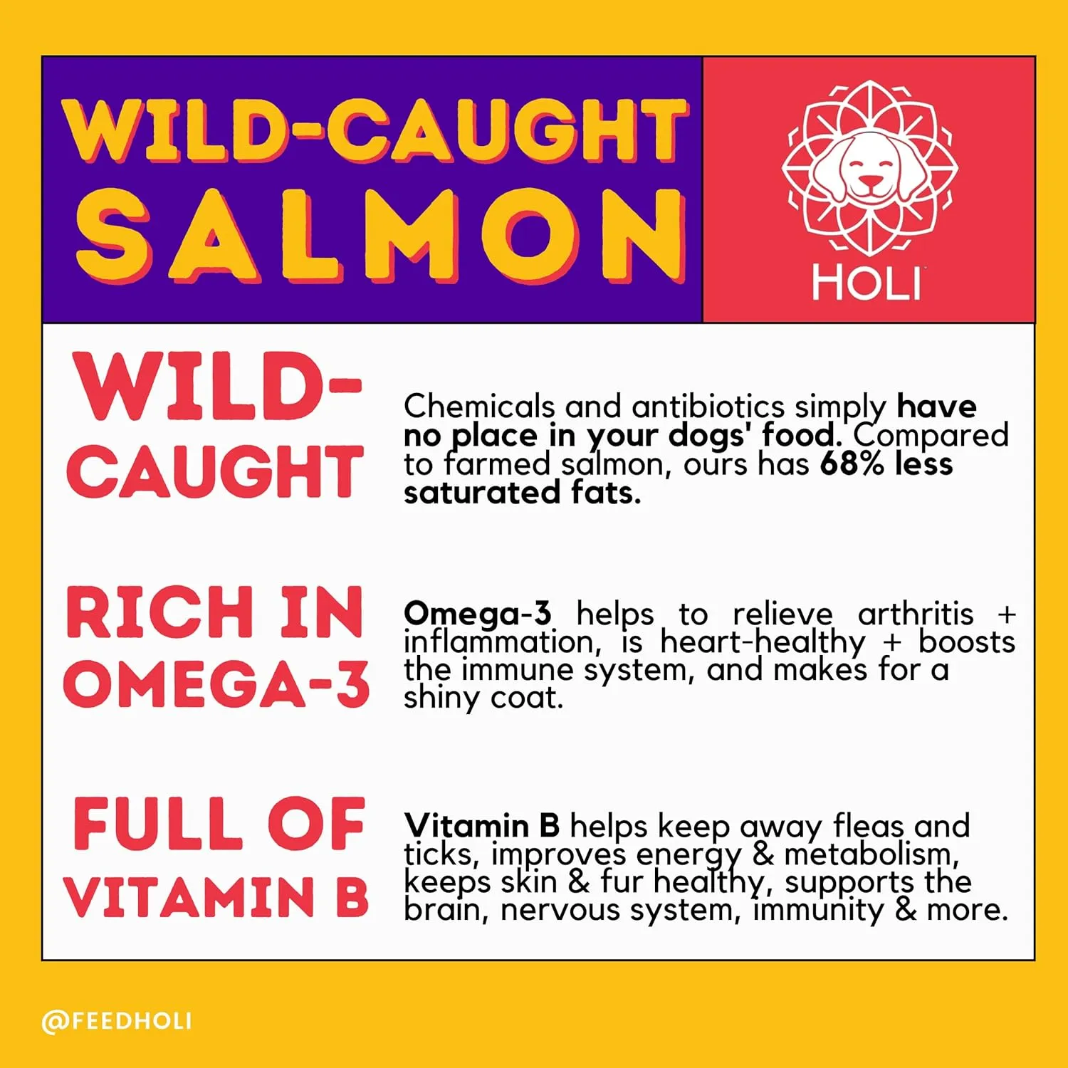 HOLI Freeze Dried Salmon Dog Treats - with Omega 3 and 6 Fish Oil - All Natural Dog Treats - Human Grade - Wild Caught Skin on Salmon - Made in USA - Grain Free - Diabetic Friendly