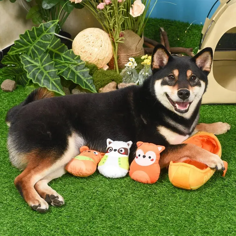 Hugsmart Pet Camping Pups Kayak Interactive Dog Toys