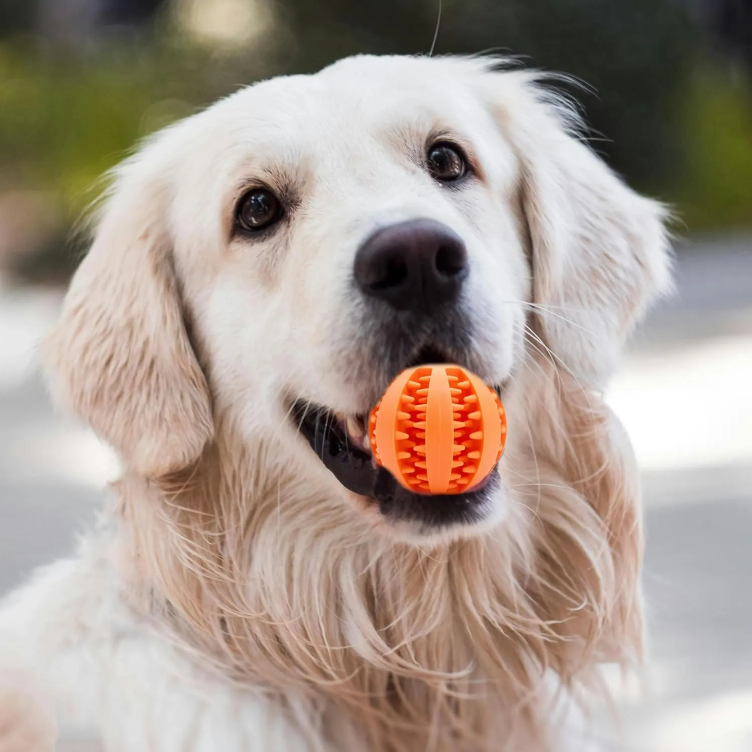 Interactive Dog Treat Ball Toys for Aggressive Chewers Teething Toys to Keeping Them Busy Dog Balls Food Treats Feeder Chew Ball for Small Medium Large Dogs (Calibre 1.8 in for Small Dog)