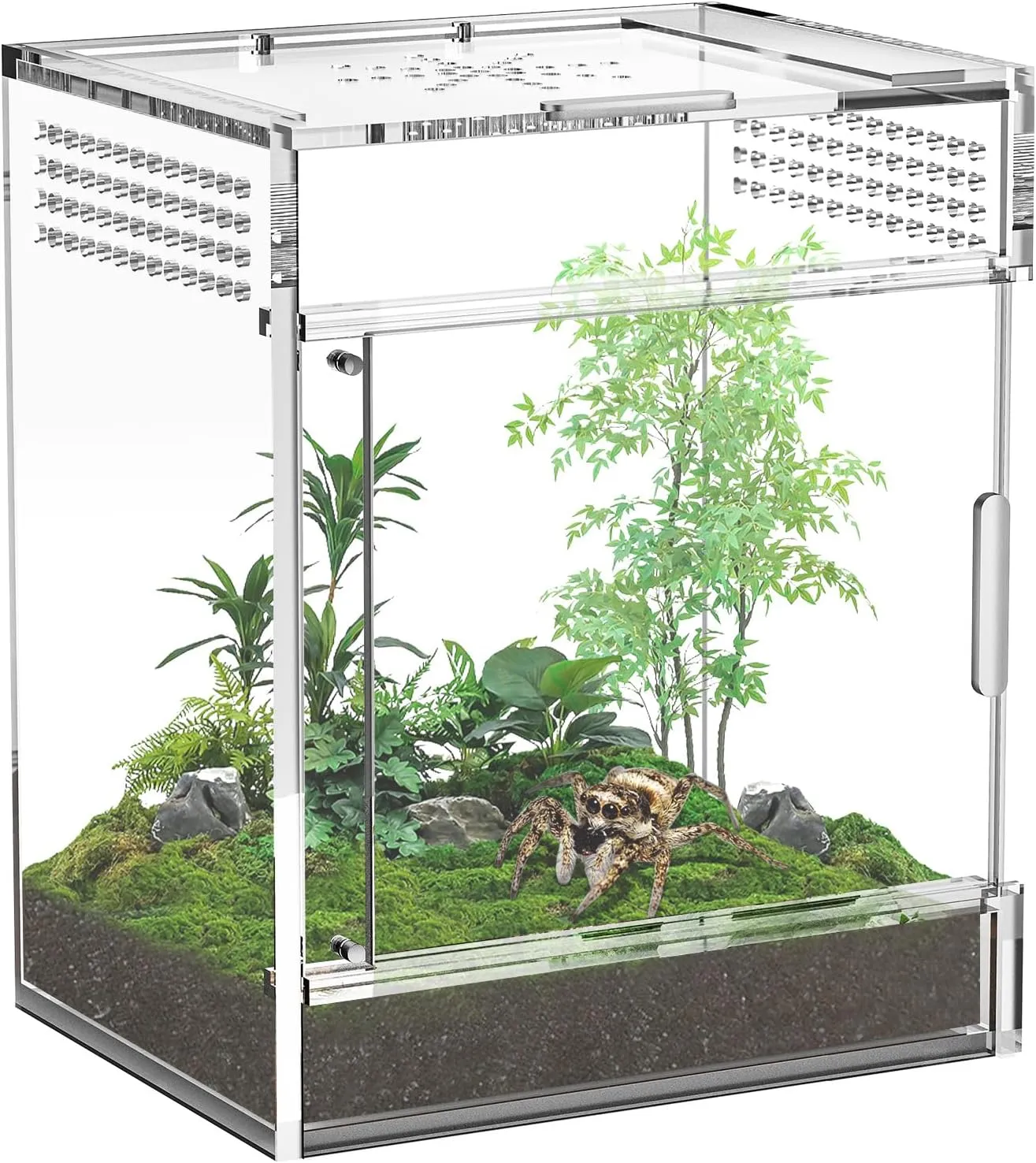 Jumping Spider Enclosure, One-Piece Fully Transparent Acrylic Small Reptile Enclosure, 5.9x5.9x9.8 inch Small Terrarium for Tree Frogs, Tarantulas, Mantises, Jumping Spiders (Medium)