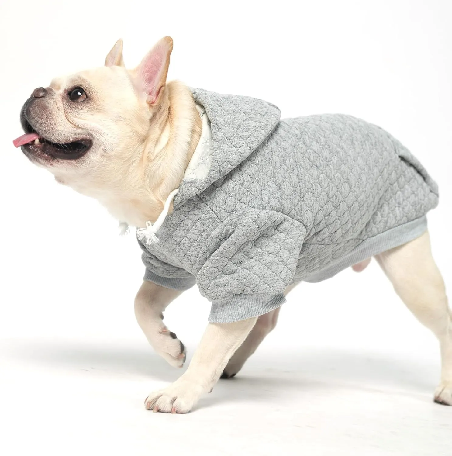 KOOLTAIL Dog Hoodie Pet Clothes Sweater with Hat and Pocket for Small Medium Large Dogs, Warm Soft Dog Cold Weather Coat, Clover Laminated Cotton Hooded Sweatshirt Outfit for Puppy Cats, Grey XXS