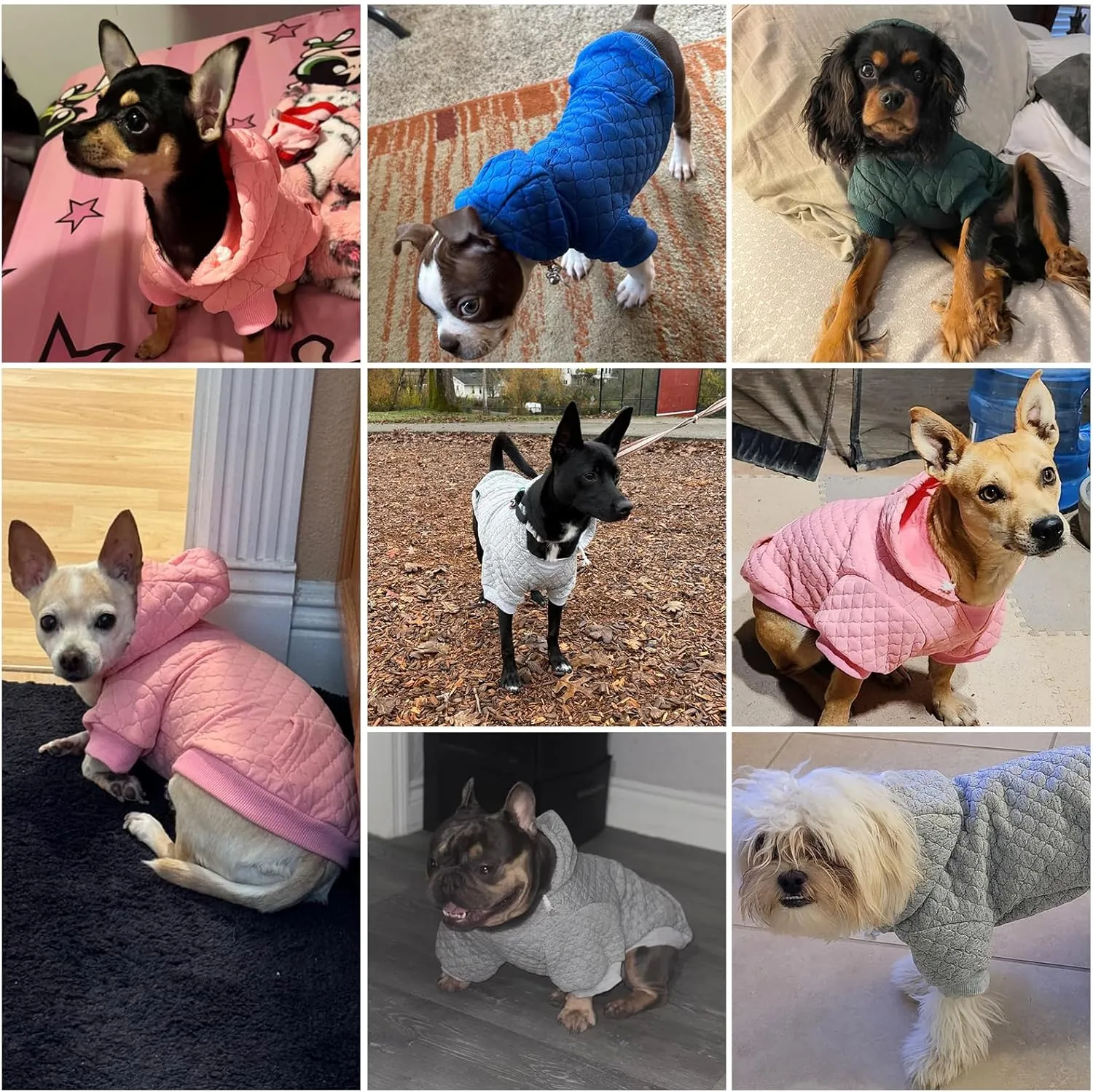 KOOLTAIL Dog Hoodie Pet Clothes Sweater with Hat and Pocket for Small Medium Large Dogs, Warm Soft Dog Cold Weather Coat, Clover Laminated Cotton Hooded Sweatshirt Outfit for Puppy Cats, Pink ML