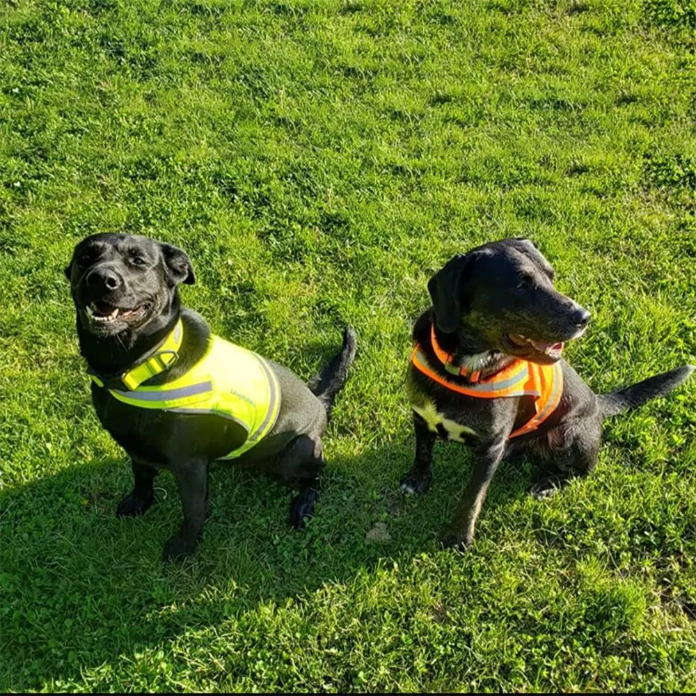 Lite Dog Vest. Coverage to Mid Back. Reflective Hi Visibility Fluorescent Yellow Fabric Helps to Keep Them in Sight and Safe On and Off Leash.