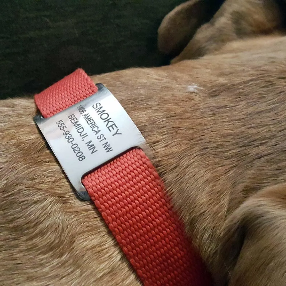 LuckyPet Slide-On Pet ID Tags - Personalized Dog & Cat Tags - Durable Stainless Steel, Noiseless, Large Fits 1 inch Collars, Closed Ends