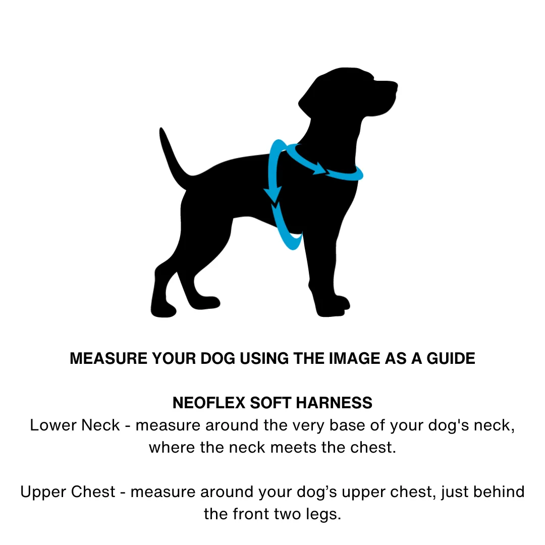 Neoflex Soft Harness - Lassie